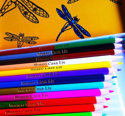 LATA DE LAPICEROS DE COLORES LIBÉLULA - Imagen 2